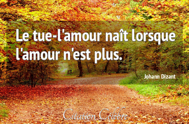 Citation johann dizant 108121