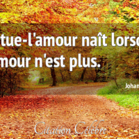 Citation johann dizant 108121