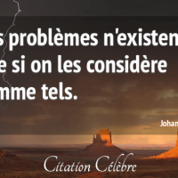 Citation johann dizant 108122