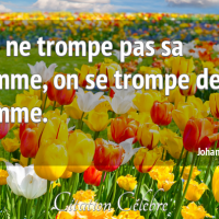 Citation johann dizant 108140