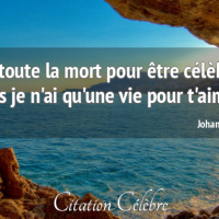 Citation johann dizant