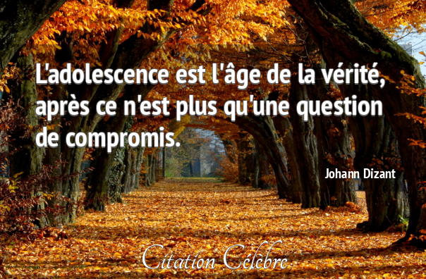 Citation johann dizant 108219