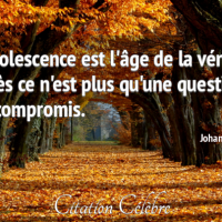 Citation johann dizant 108219